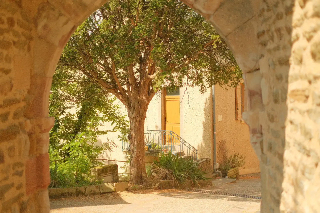 Photographie 2 - Gaël Maignan